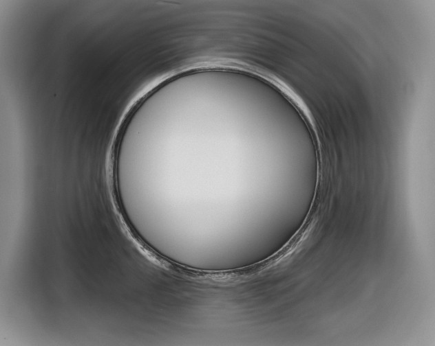 X0000116451053200912081410