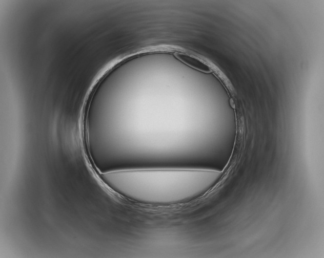 X0000116451054200912081410