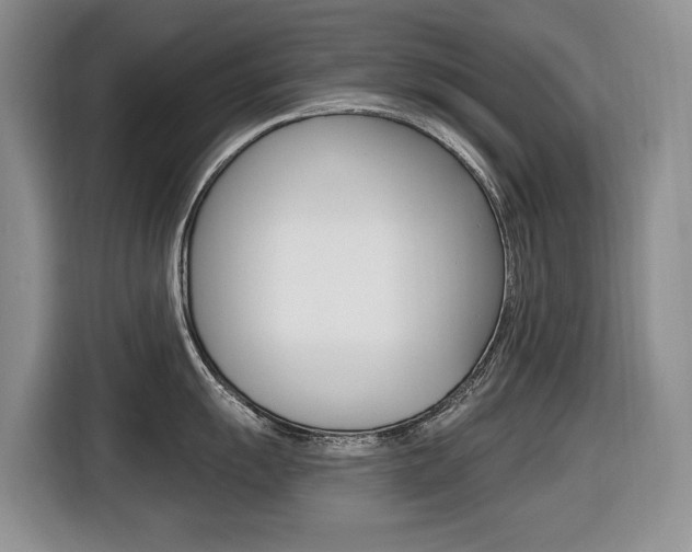 X0000116451055200912081410