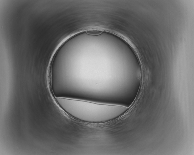 X0000116451056200912081410