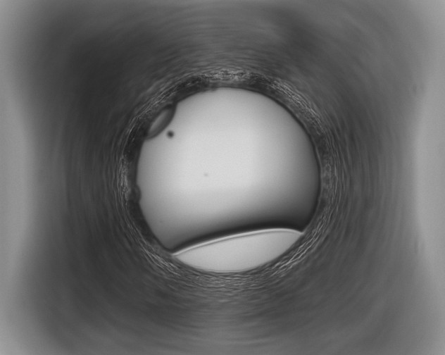 X0000116451058200912081409