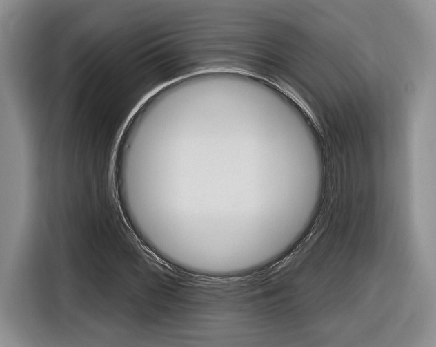 X0000116451068200912081409