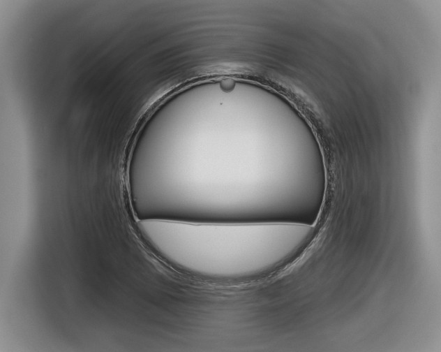 X0000116451073200912081409
