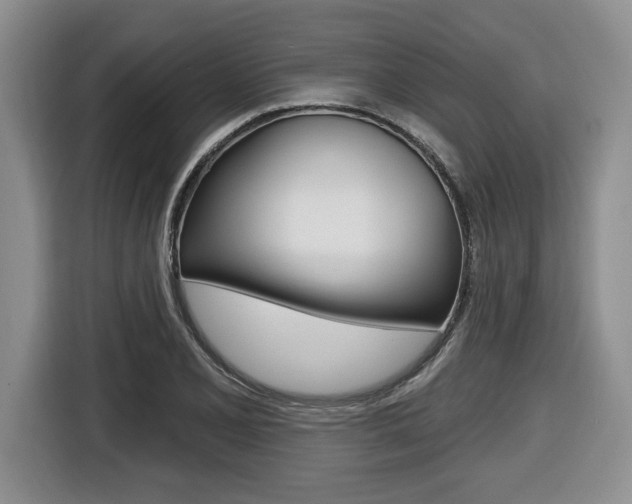 X0000116451077200912081409