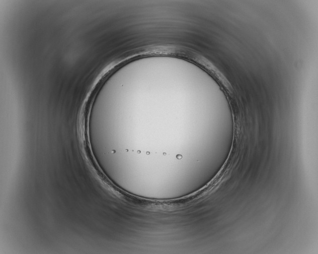 X0000116451083200912081409