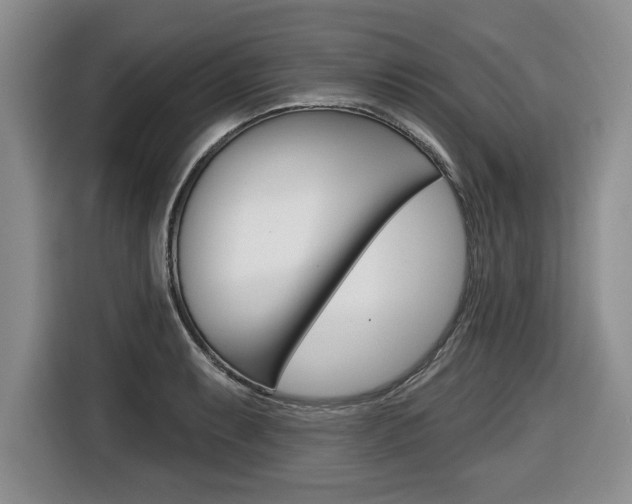 X0000116451087200912081409