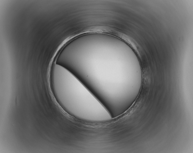 X0000116451091200912081409