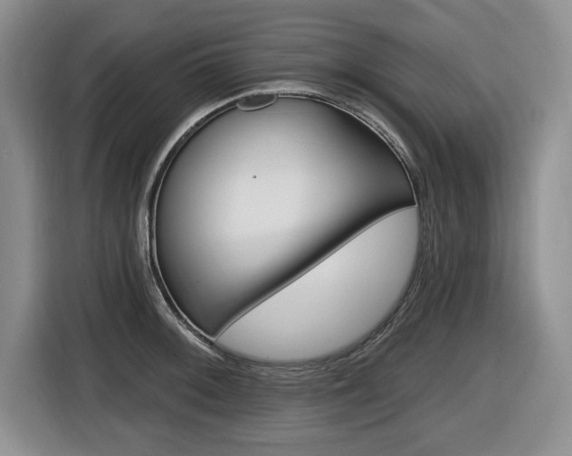 X0000116451092200912081409