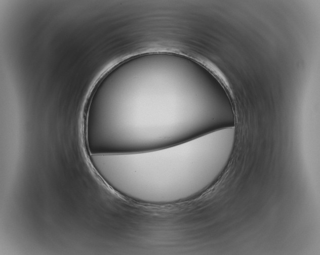 X0000116451096200912081409