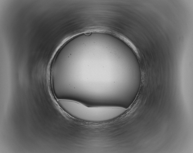 X0000116451099200912081409