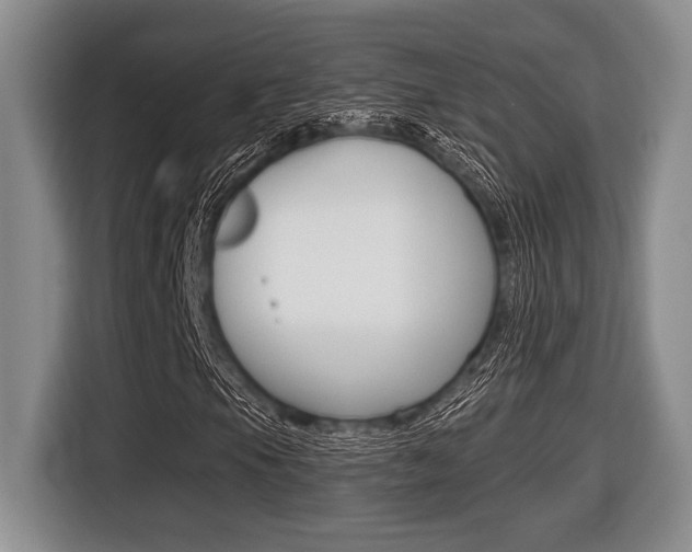 X0000116451105200912081408