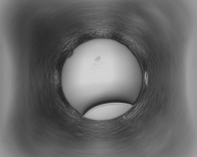 X0000116451107200912081408