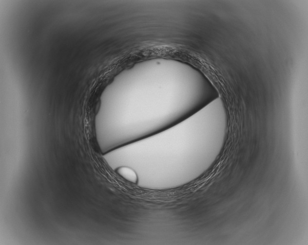 X0000116451109200912081408
