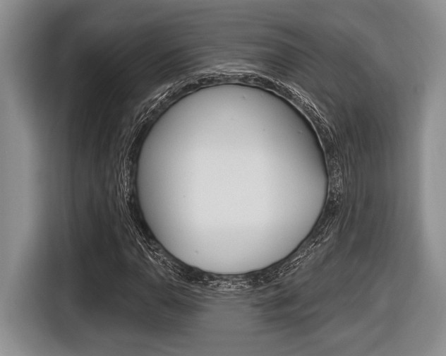 X0000116451110200912081408