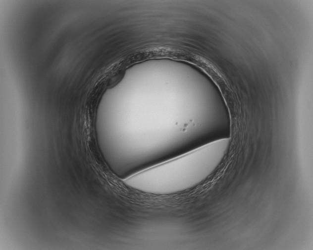 X0000116451111200912081408