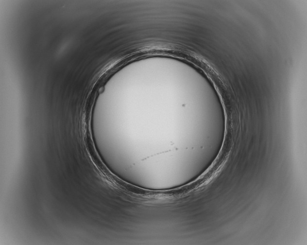 X0000116451113200912081408