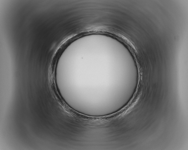 X0000116451117200912081408