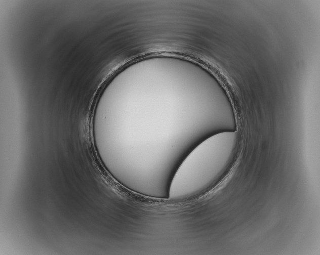 X0000116451121200912081408