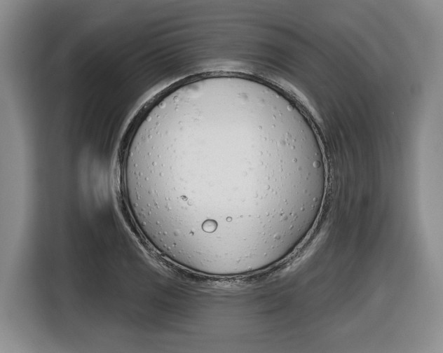 X0000116451125200912081408