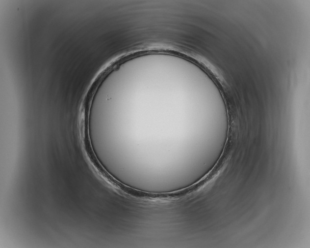 X0000116451126200912081408