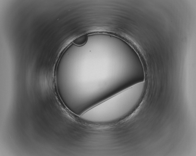 X0000116451129200912081408