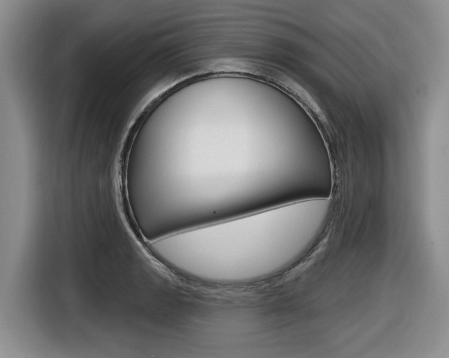 X0000116451133200912081408