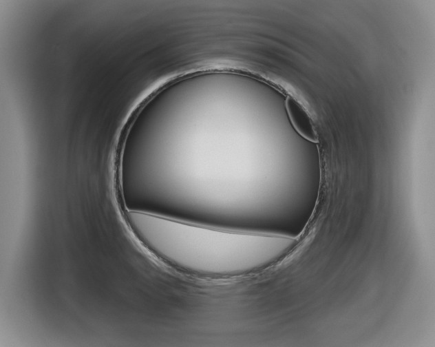 X0000116451134200912081408