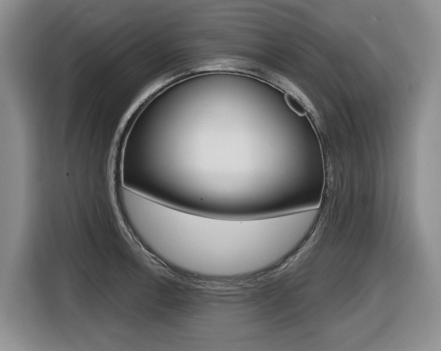 X0000116451138200912081408