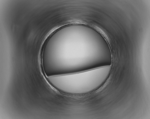 X0000116451141200912081408