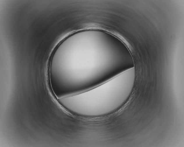 X0000116451142200912081408