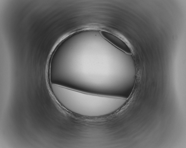 X0000116451146200912081408