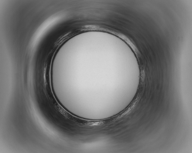 X0000116451150200912081408