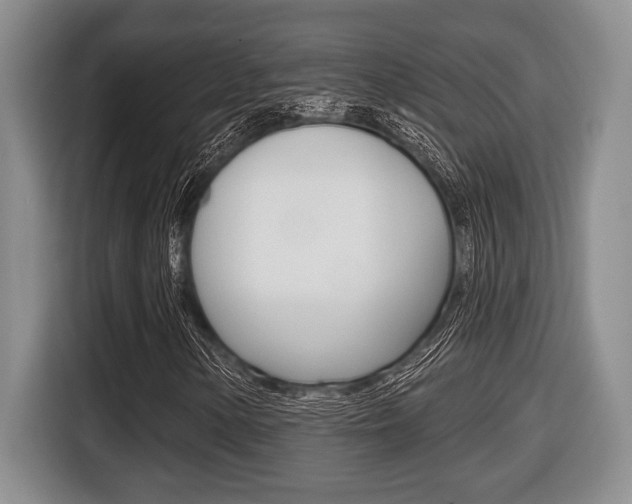 X0000116451154200912081408