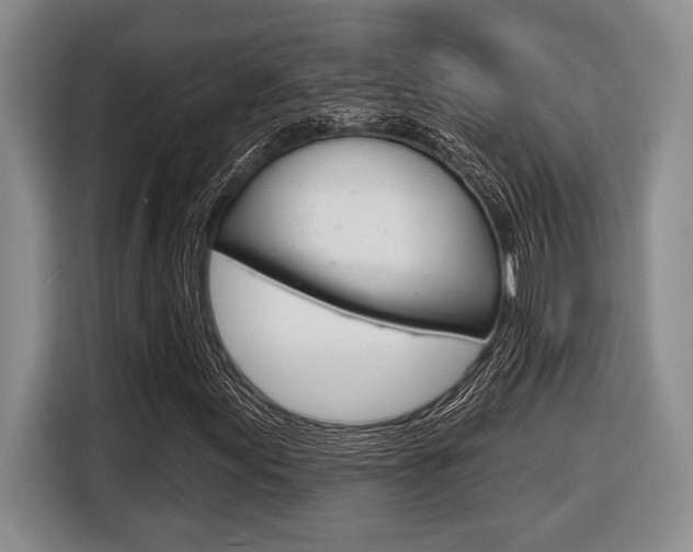 X0000116451155200912081408