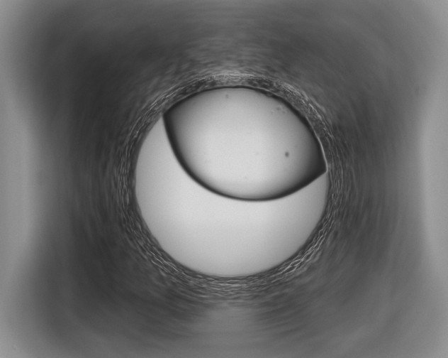 X0000116451157200912081408