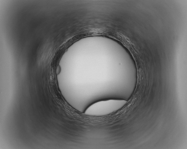 X0000116451158200912081408