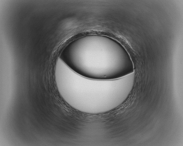 X0000116451159200912081408