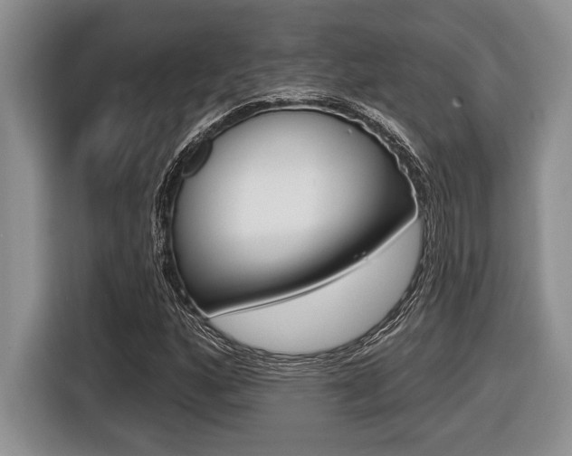 X0000116451160200912081408