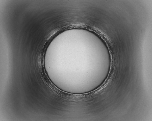 X0000116451162200912081408