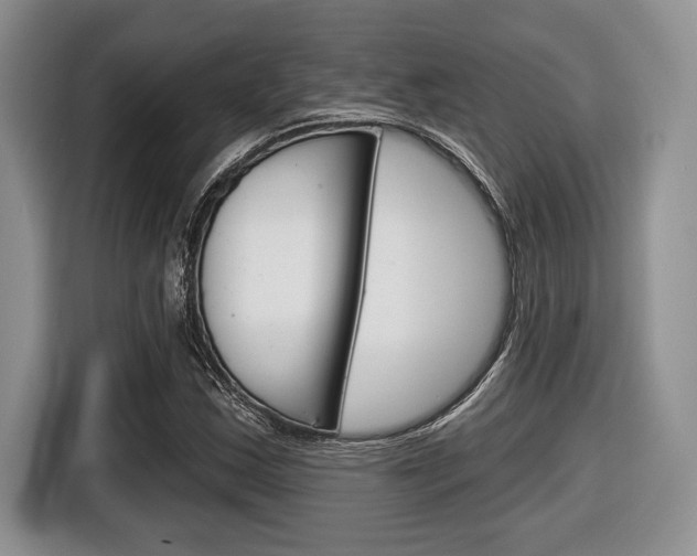 X0000116451163200912081408