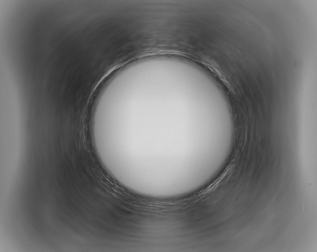 X0000116451165200912081408