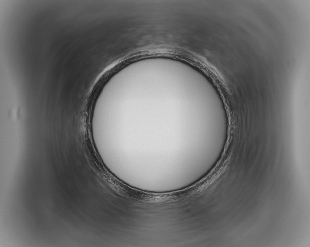 X0000116451166200912081408