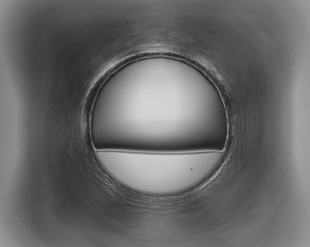 X0000116451167200912081408