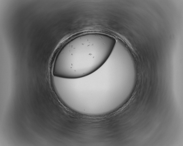 X0000116451168200912081408