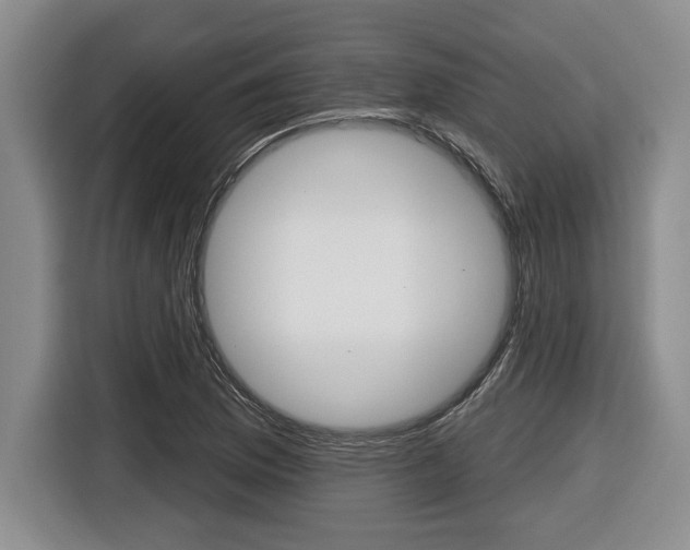 X0000116451169200912081408