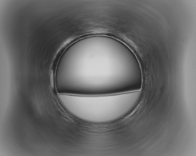 X0000116451171200912081408