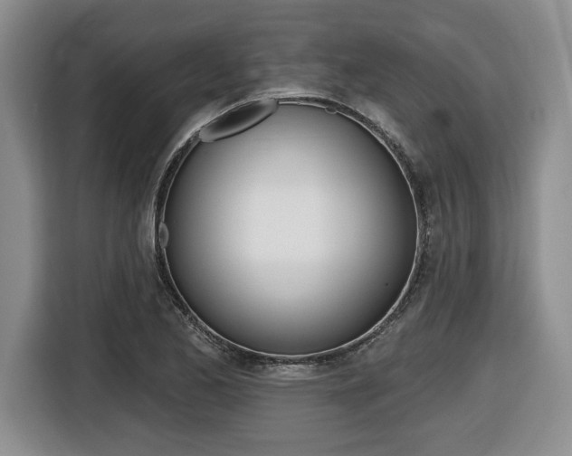 X0000116451173200912081408