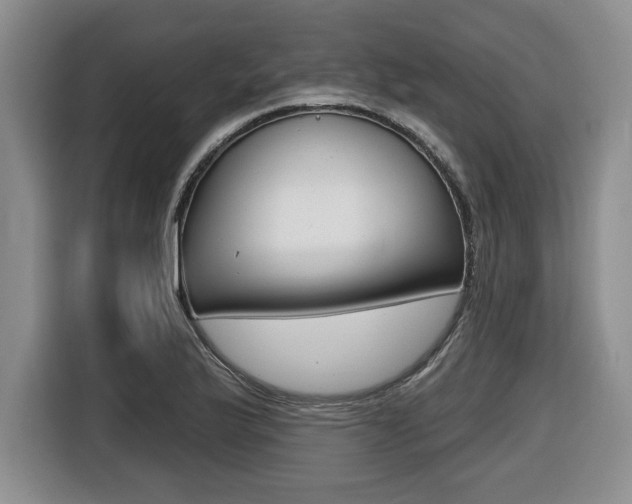 X0000116451175200912081408