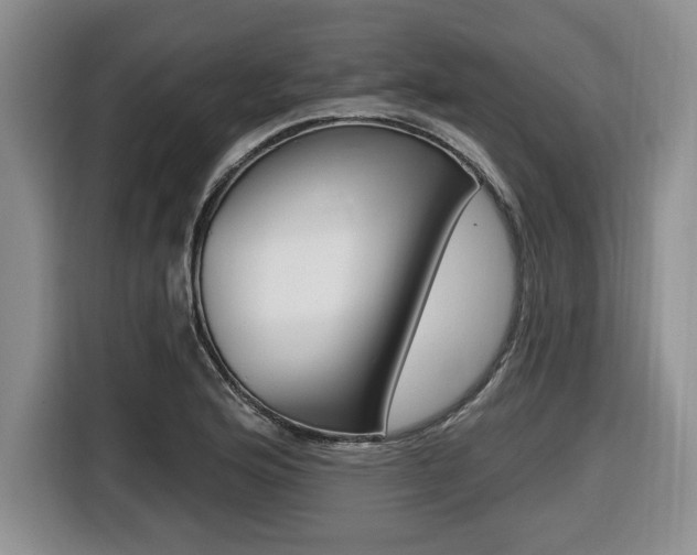 X0000116451176200912081408