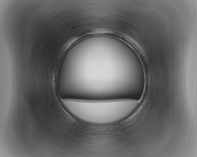 X0000116451177200912081407